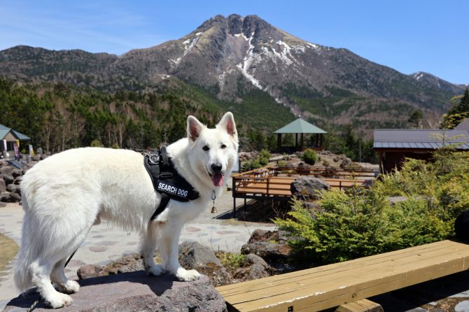 愛犬と日光白根山ロープウェイで雲上ハイキング【災害救助犬 コアと家族の日記 Vol.16】