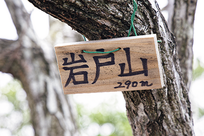 頂上