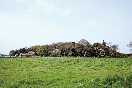 船岡山