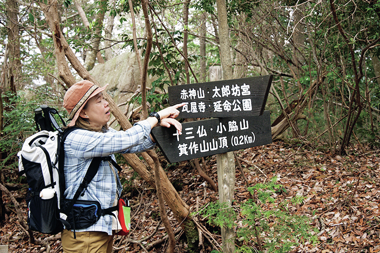 箕作山