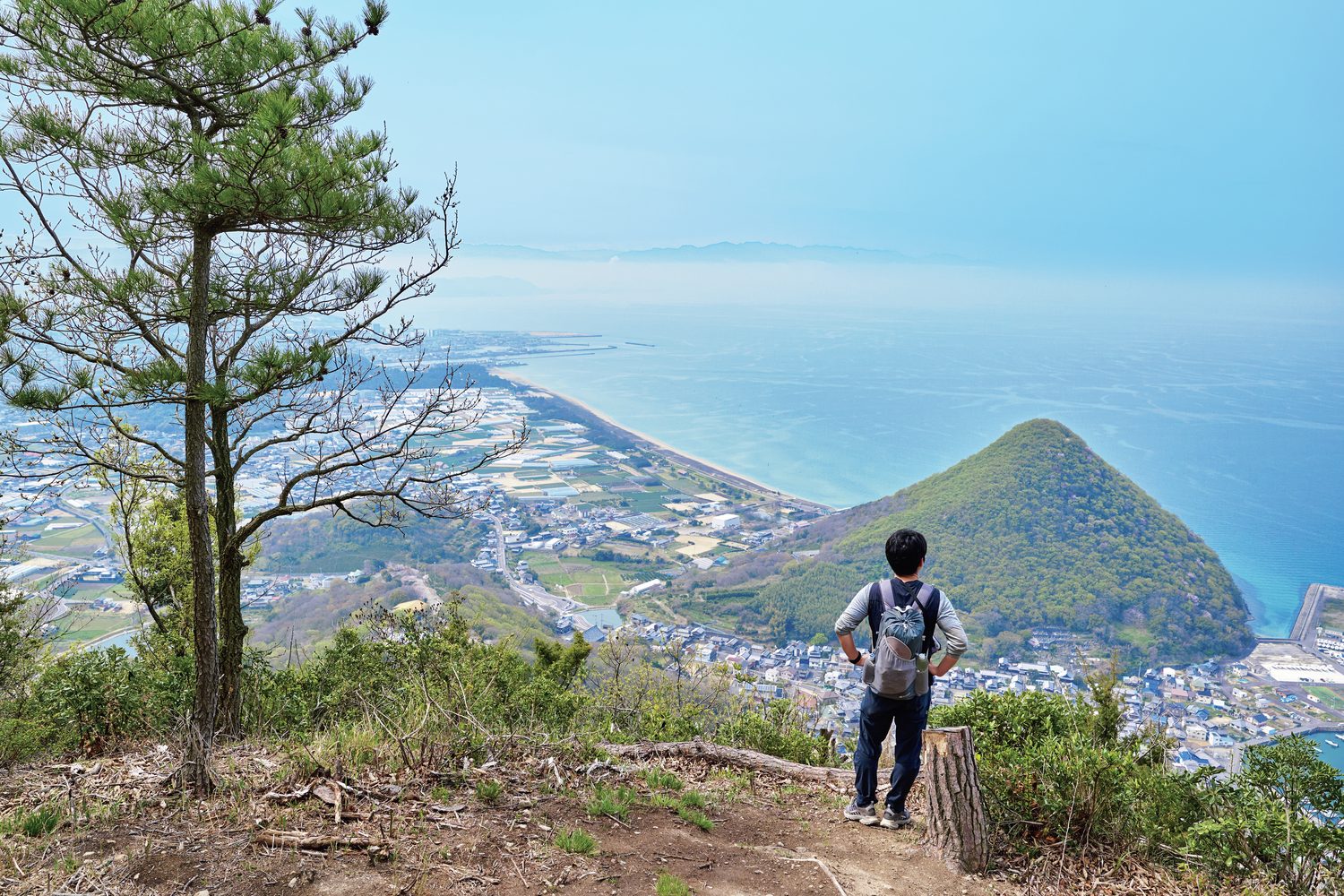 山を見る人物の後ろ姿