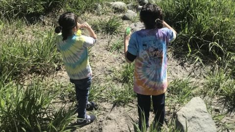 タイダイ染めで世界で1枚のTシャツを作ろう！やり方を徹底解説