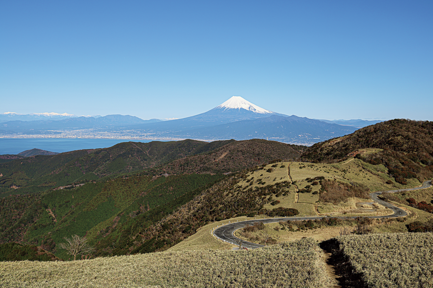 達磨山