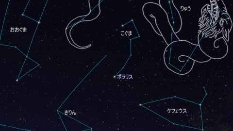 かつては北極星だったかも？辰年にちなみ天高く昇る「りゅう座」を探してみよう