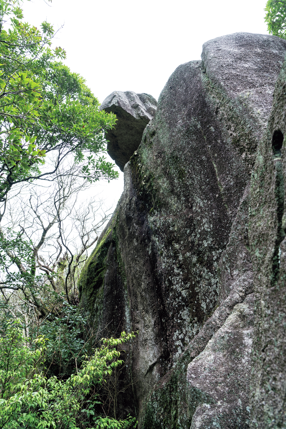 山頂下