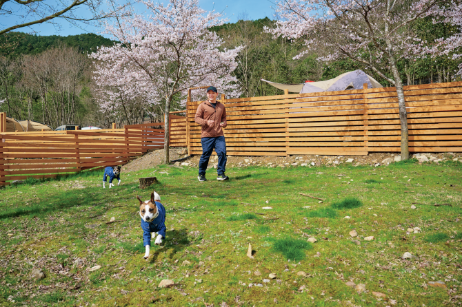 犬連れで思いっきり遊べるドッグフレンドリーなキャンプ場5選