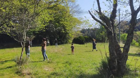 カブトムシの捕まえ方は？捕まえられる場所から服装・必要なものまで解説！