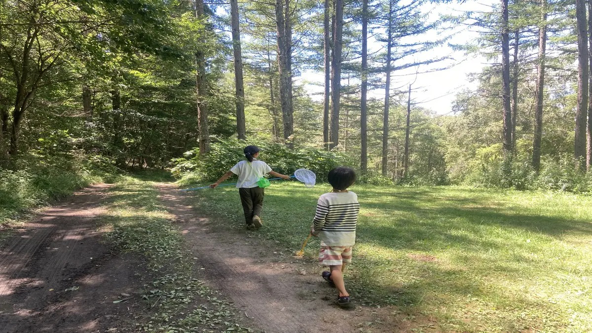 昆虫採集をする子供たち