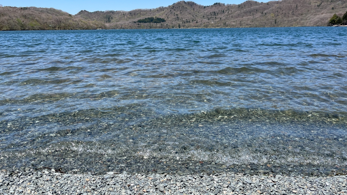 大沼の湖畔からの景色