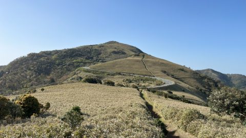 驚くほどの美しさ！静岡県・達磨山ハイキングで伊豆の海と稜線を望む