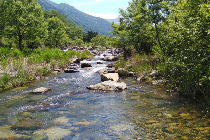 登川C＆R区間の様子