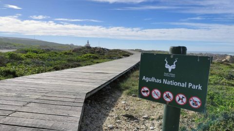 アフリカ大陸最南端の地「アガラス岬」。“嵐の岬”でフィンボスウォーキングを満喫！