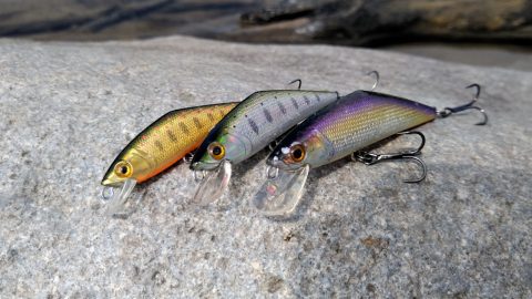 渓流ルアーの注目株！スミス「D-コンタクト」の魅力とは？
