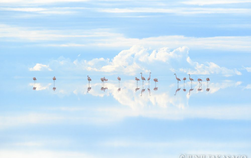 ed00c757997eec52456d783b6803f5