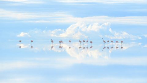 自然写真家・高砂淳二さんの写真展「PLANET OF WATER」が7月12日から仙台で開催！