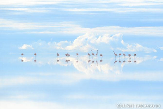 自然写真家・高砂淳二さんの写真展「PLANET OF WATER」が7月12日から仙台で開催！