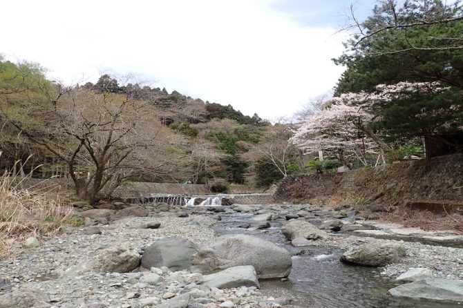 神奈川県のデイキャンプのおすすめスポット6選！神奈川県をおすすめする理由からそれぞれの特徴まで解説