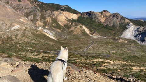 ひと足早く秋が訪れる福島・浄土平で天空の湖を歩く【 災害救助犬コアと家族の日記 Vol.20】