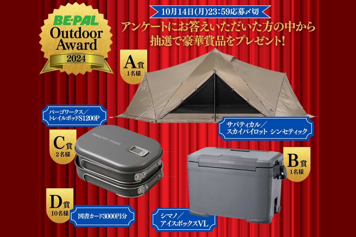 小野寺様 専用 10箱 小野寺様専用