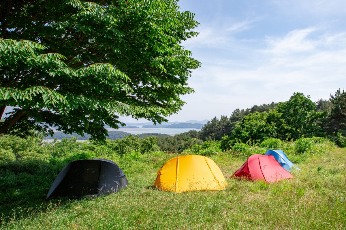 カラー展開 : YELLOW , RED , CHARCOAL , BLUE