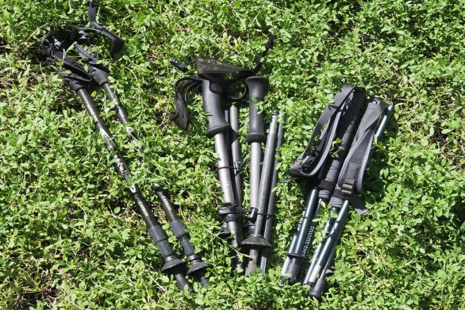 ハイキングや登山、低山ハイクでの疲労軽減以外にも活躍！トレッキングポールの種類と使い方