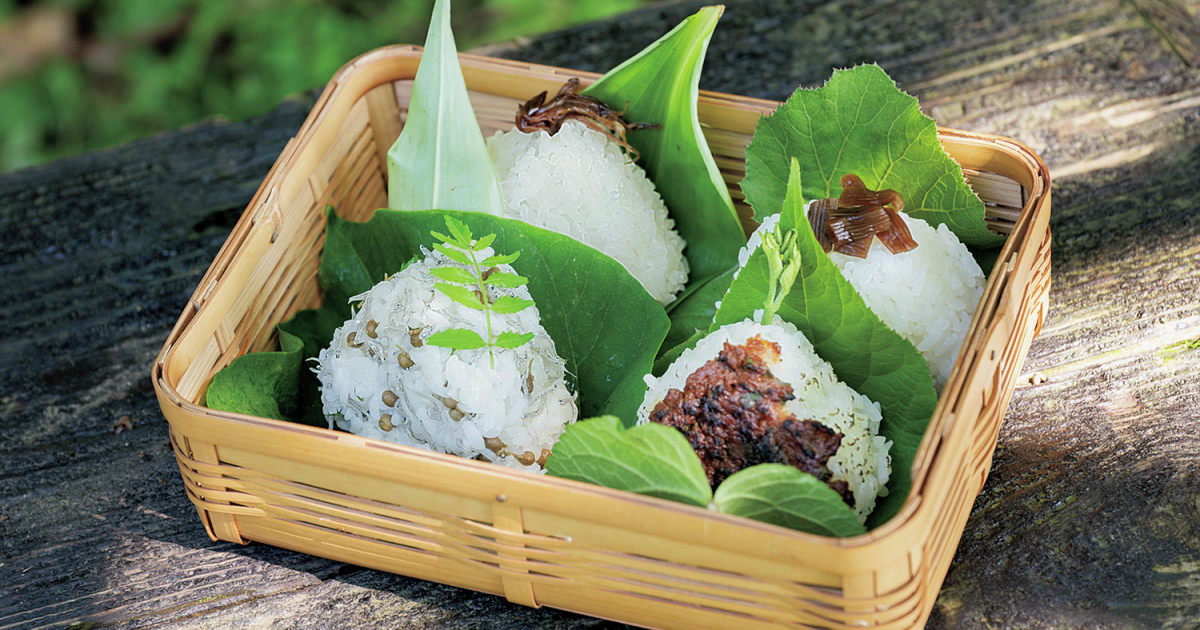 1894045027670b68946196f5_44943