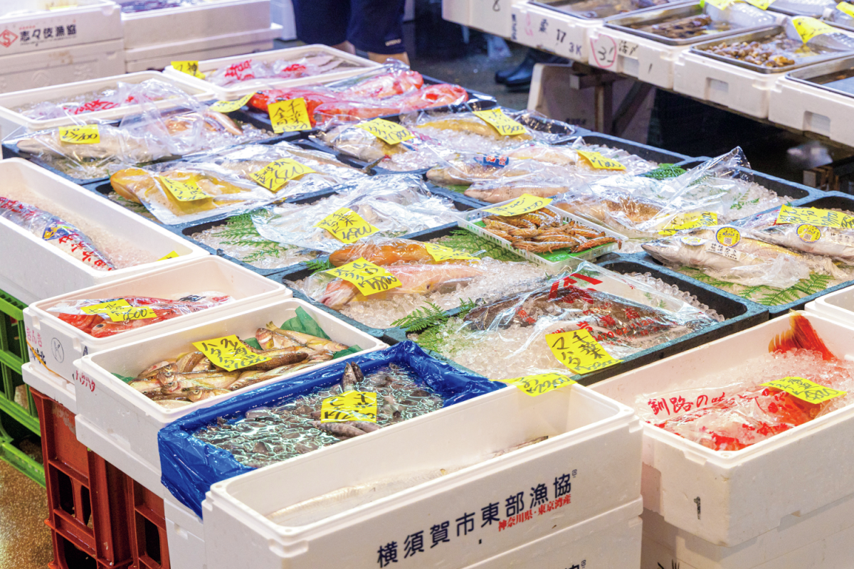 魚屋の様子。