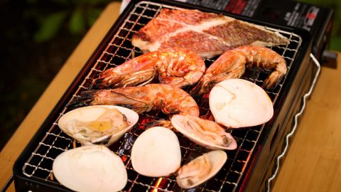 イワタニの「炙りやⅡ」が気になる！カセットガスでこんがりバーベキューができるんだぞ　