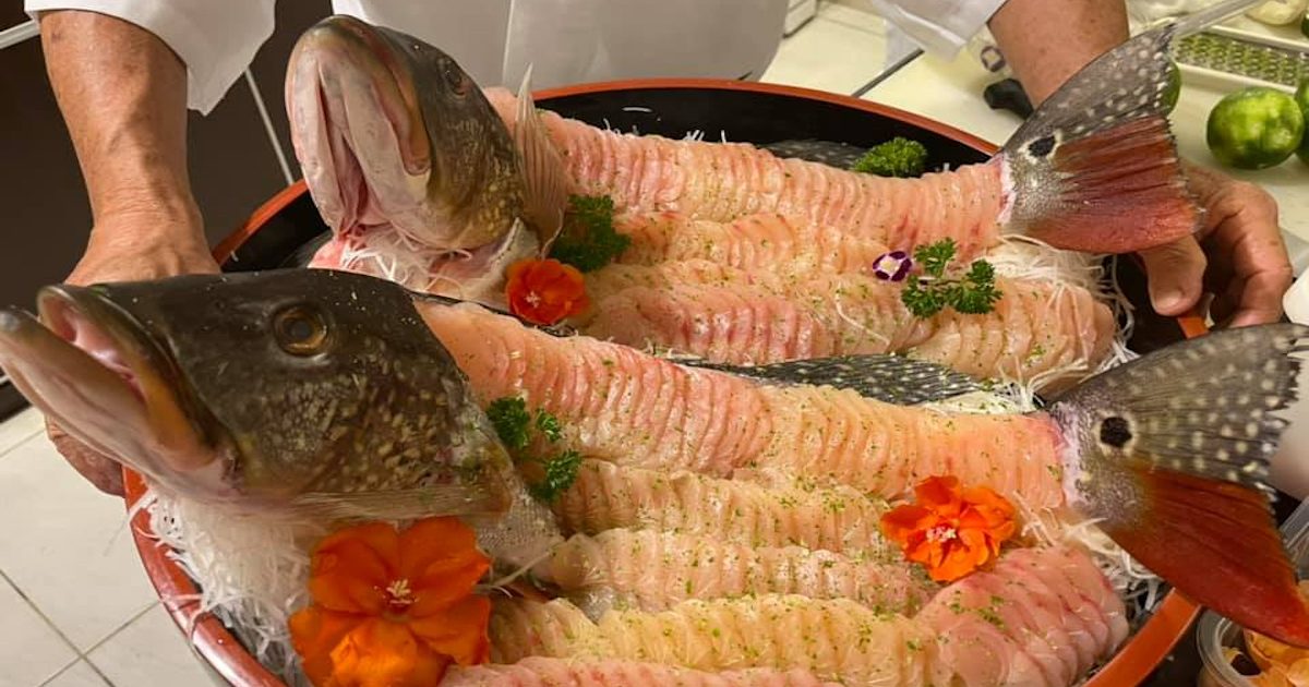 4f5e20d9dddfe1ab0c1d15f4a8f3ab