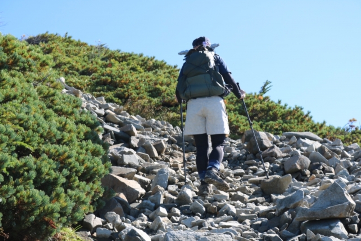 登山 ストック