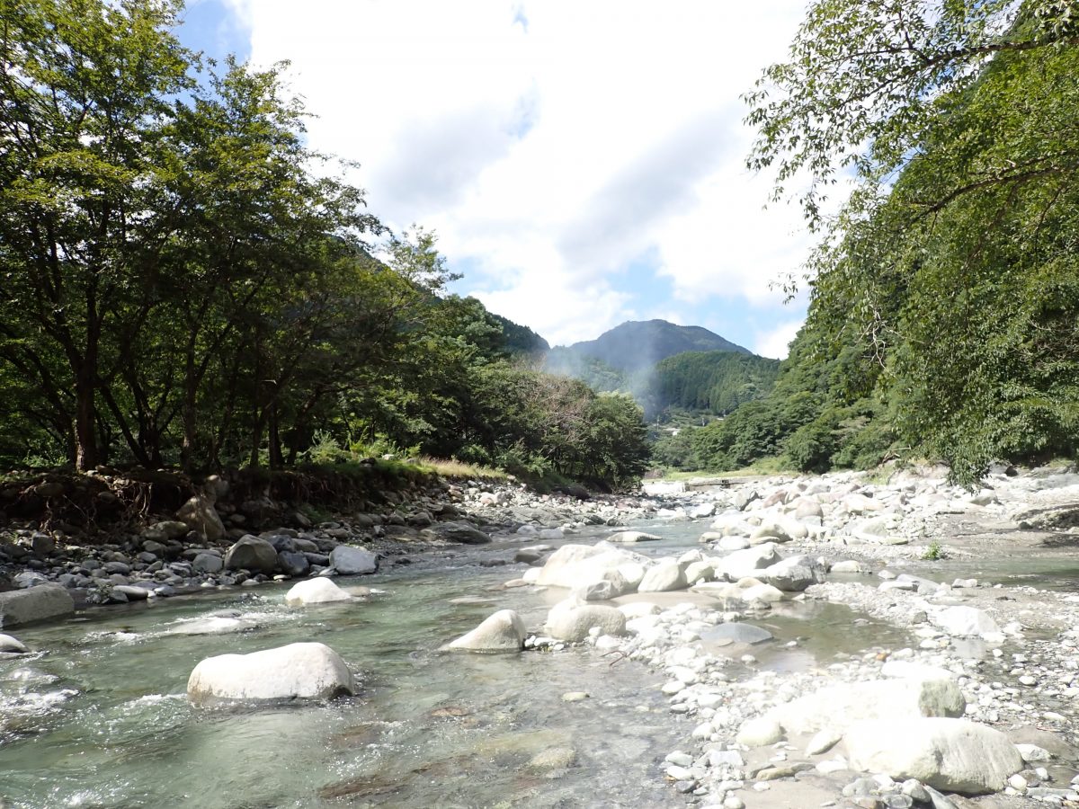 緑に囲まれた川