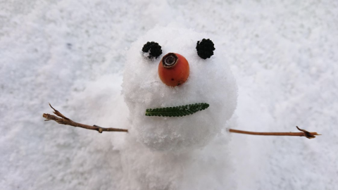 雪だるまのきれいな作り方は？道具や場所選び、転がさない方法も解説