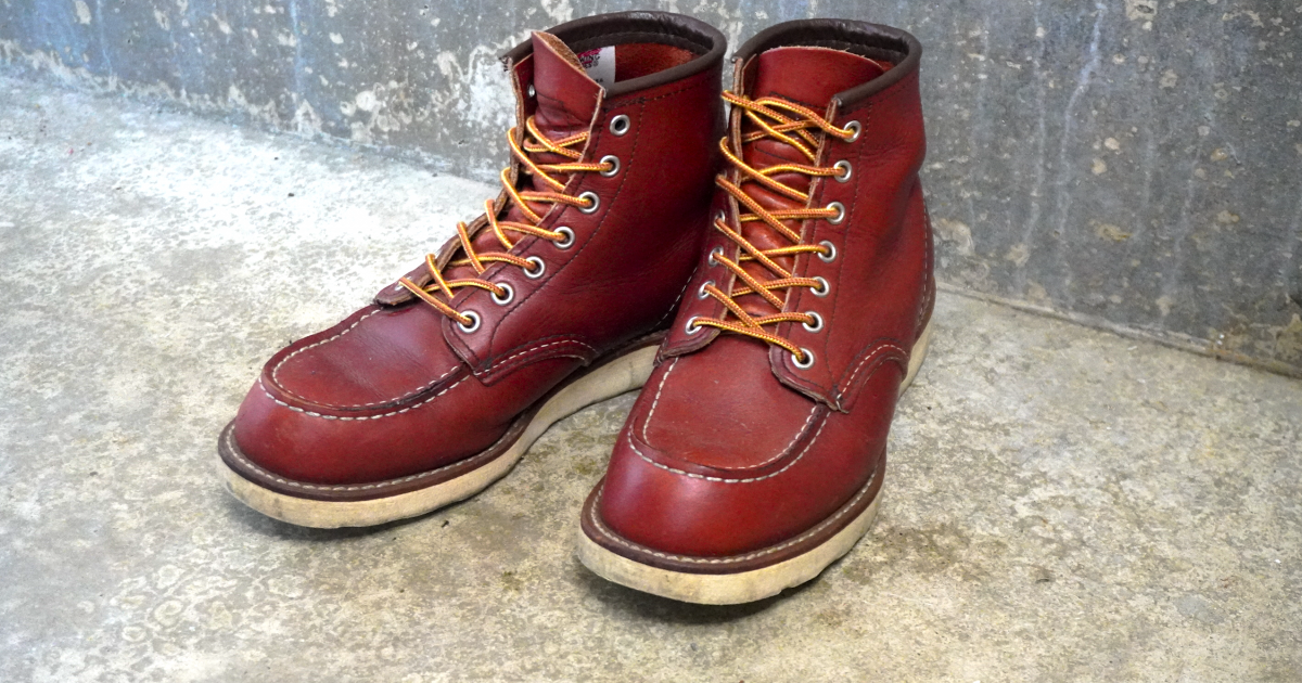 レッドブーツ 実生レッド系 確認用