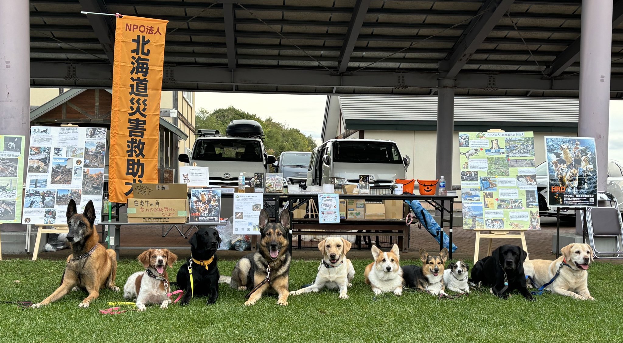 救助犬の仲間たちの物語～北海道災害救助犬【 災害救助犬コアと家族の