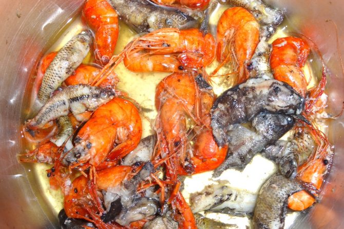 水を掻き出して魚を捕る「掻い出し漁」でエビや魚を！コンゴの森の民は日々の食材を自然から得ていた