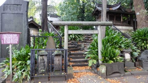 19世紀中ごろに築かれた板橋区・氷川町氷川神社のミニ富士山【プロハイカー斉藤正史のTOKYO山頂ガイド File.121】