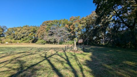 板橋区の赤塚城跡と帰りがけに出合った「赤塚山」【プロハイカー斉藤正史のTOKYO山頂ガイド File.126】