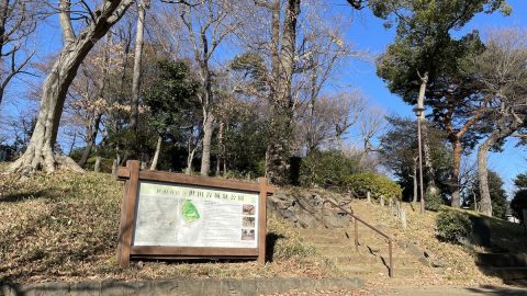 世田谷区の住宅街に今も残る、南北朝時代に築かれた平山城跡【プロハイカー斉藤正史のTOKYO山頂ガイド File.131】