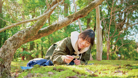 コケに魅せられたジュニア学芸員・平山 美ら海さんの夢は新種を発見すること！