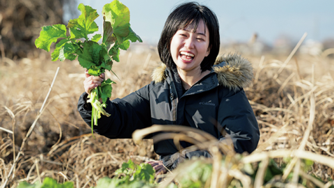 食べ方は？美味しい外来種 「セイヨウカラシナ」を河川敷で発見