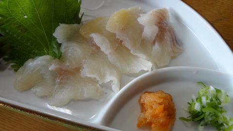 清涼な水で育ったナマズはうまいぞ！琵琶湖の固有種イワトコナマズを食すのは夢か？