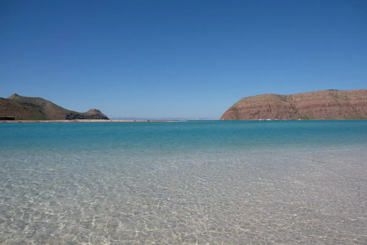 海