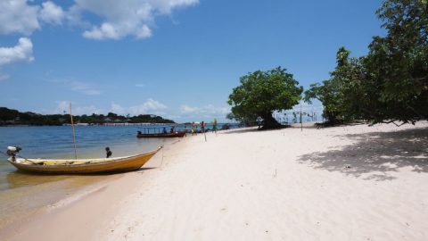 【佐藤ジョアナ玲子のアマゾン旅 vol.28】まるでカリブ！ブラジルの隠れ名所アウテル・ド・シャンへ行ってみた