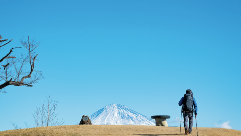花の百名山・浜石岳から広重の描いた薩埵峠（さったとうげ）をハイキング！