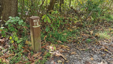 長距離トレイル初日に16マイル＝24km踏破…この距離でも疲労困憊【プロハイカー斉藤のナショナルシーニックトレイル踏破レポ vol.11】