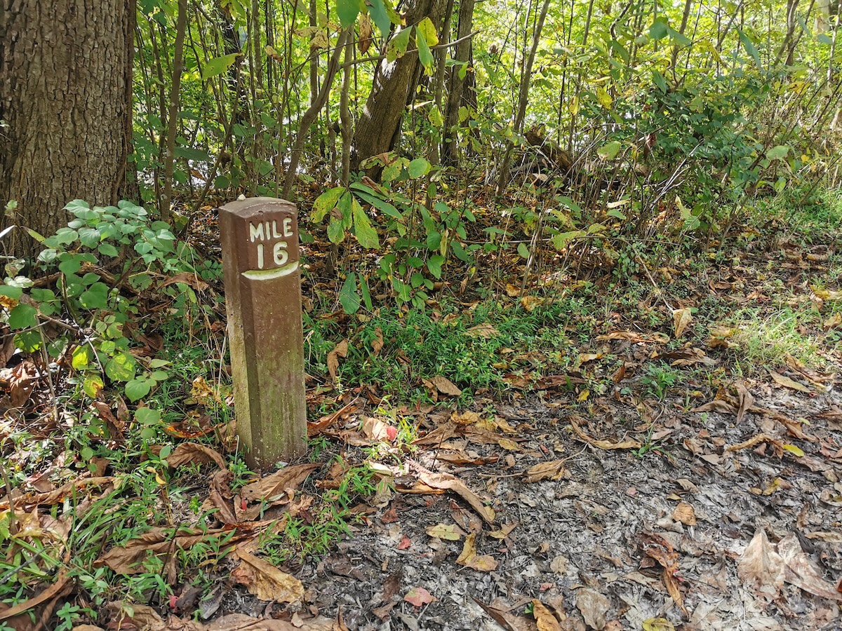 長距離トレイル初日に16マイル=24km踏破…この距離でも疲労困憊【プロハイカー斉藤のナショナルシーニックトレイル踏破レポ vol.11】