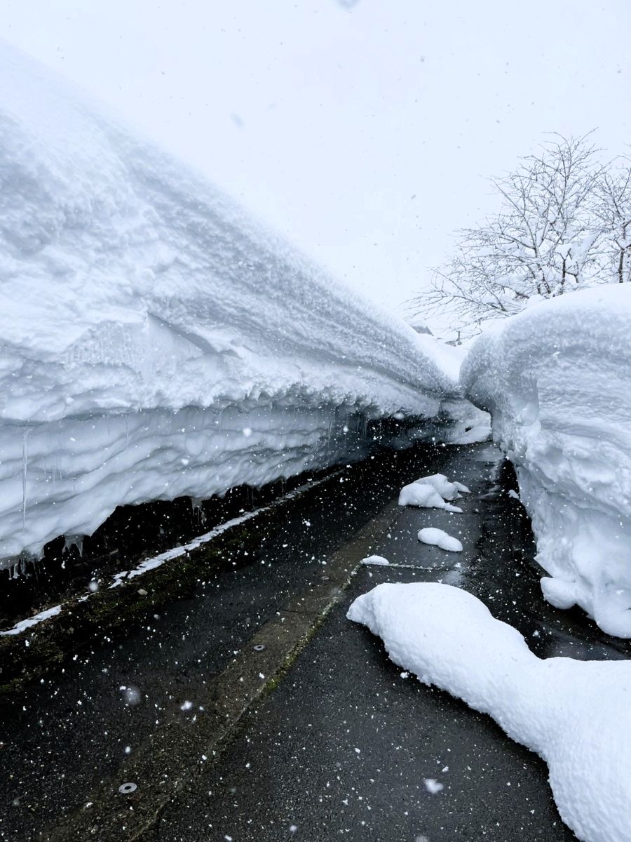 2月終わりの新潟の雪道