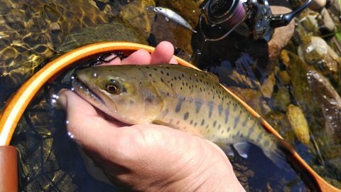 お待ちかねの魚釣りシーズンイン！今年から始めませんか？早春の釣り方5選