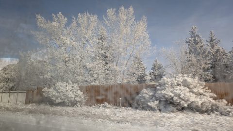 カナダで体験！氷点下35度の世界って…【「海外書き人クラブ」お世話係・柳沢有紀夫の世界は愉快！】