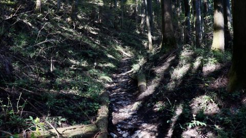 中山道で最もつらい碓氷峠。昔道は急坂なので心してハイキングすべし！